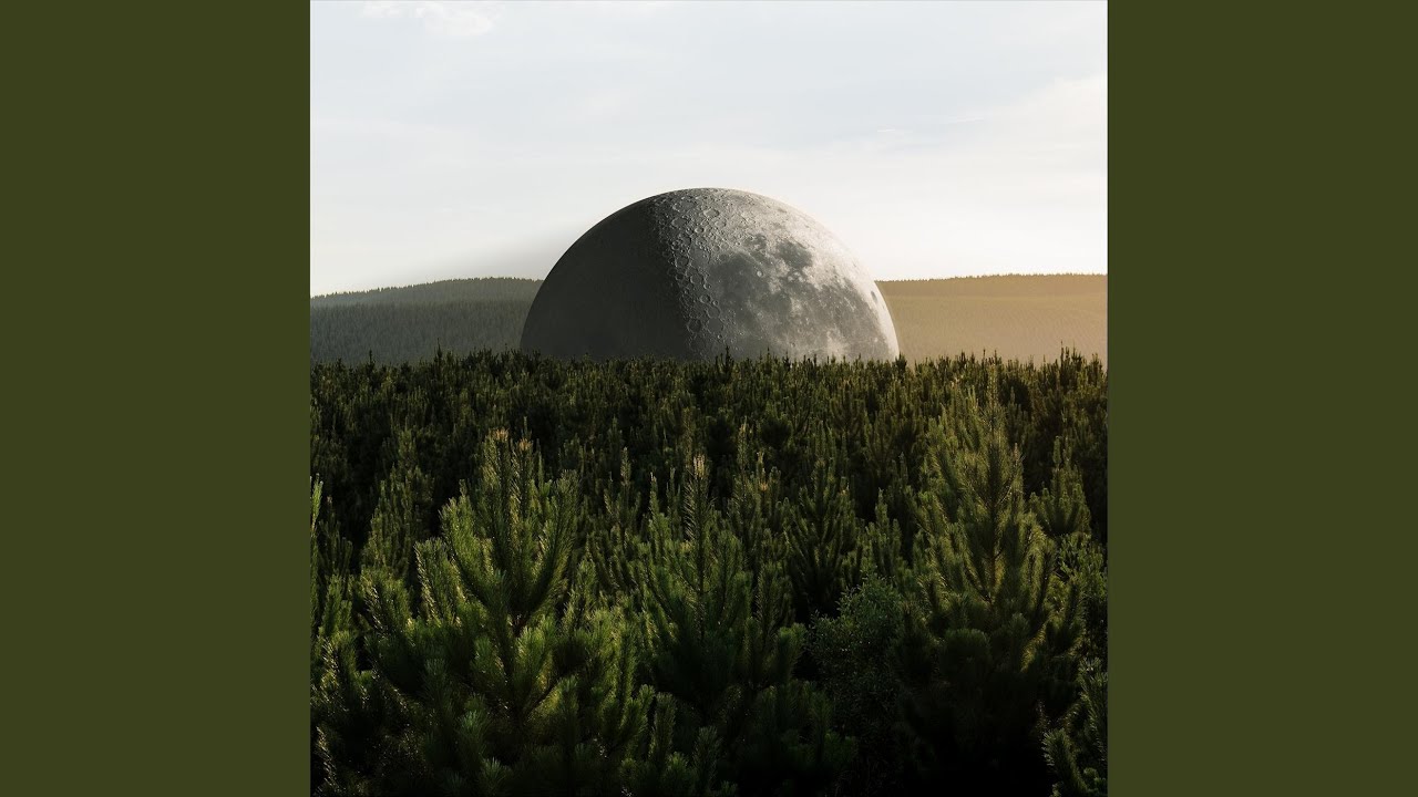 Dead Trees (Acoustic)
