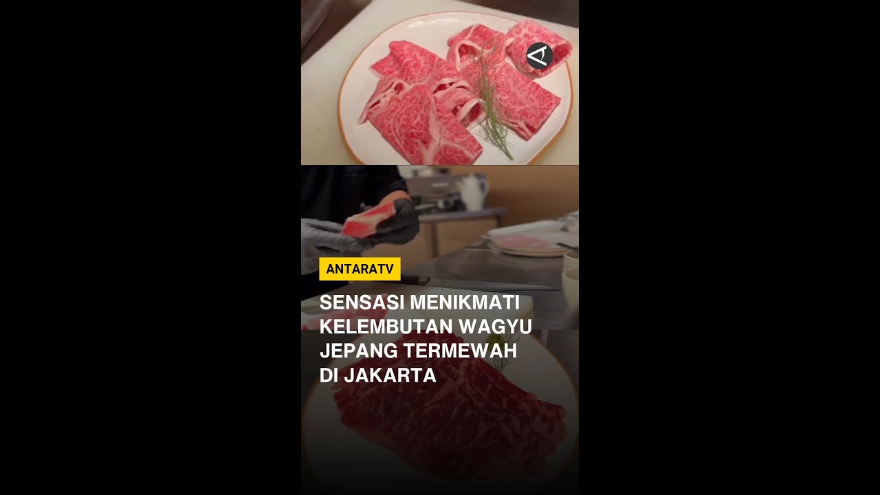 Sensasi menikmati kelembutan wagyu Jepang termewah di Jakarta