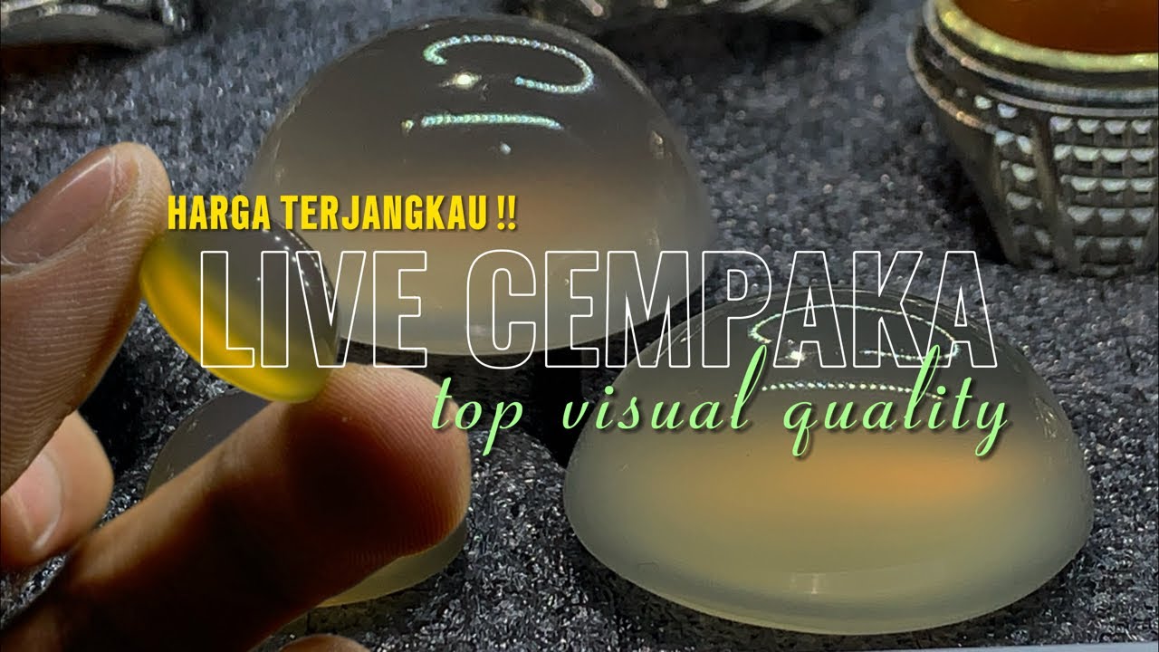 LIVE CEMPAKA EDISI SAHURRR….!!! #batuakik #gemstone #batucempaka