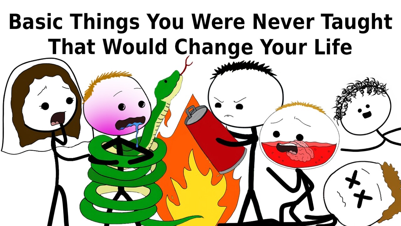 Basic Things You Were Never Taught That Would Change Your Life