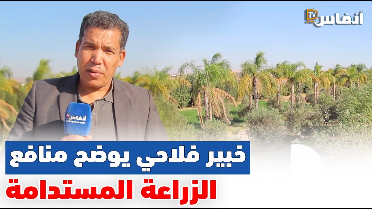 خبير فلاحي يوضح منافع الزراعة المستدامة
