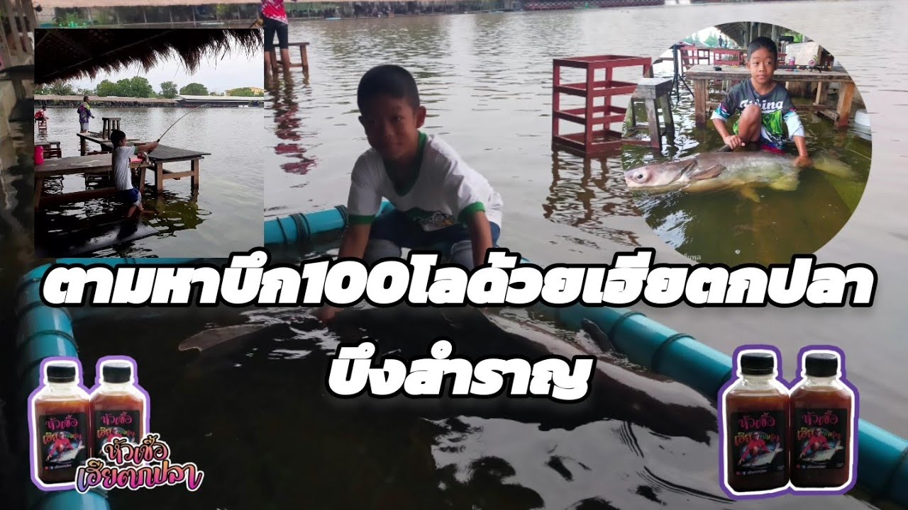 ตามหาบึก100kgด้วยหัวเชื้อเฮียตกปลา(ep1)บึงสำราญ น้ำท่วมแต่สนุกเอาเรื่อง#ตกปลาบึก #บึงสำราญ#เฮียตกปลา