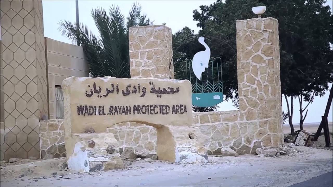 EL FAYOUM Documentary - الفيوم فيلم وثائقي