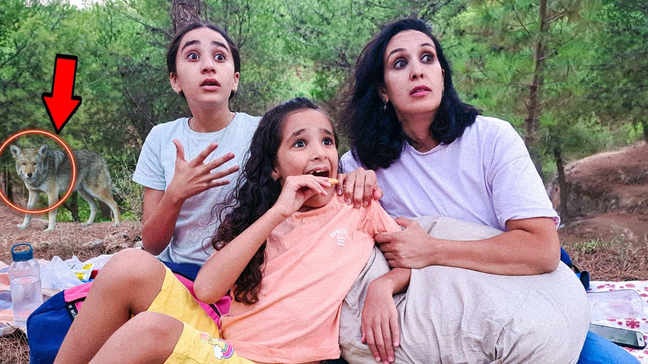 تحدي آخر واحد يخرج من الغابة يخسر 🏞️(24ساعة في الغابة)
