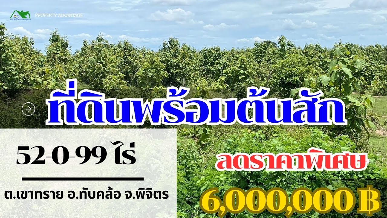 ที่ดินพร้อมต้นสัก 52-0-99 ไร่ ผืนใหญ่ ต.เขาทราย อ.ทับคล้อ จ.พิจิตร