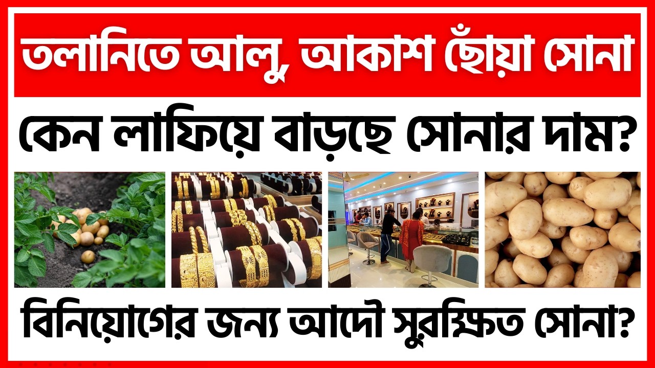 আলু তলানিতে, শেয়ার বাজারে ধস। বিনিয়োগকারীদের বিকল্প পছন্দ সোনা? - India Potato News
