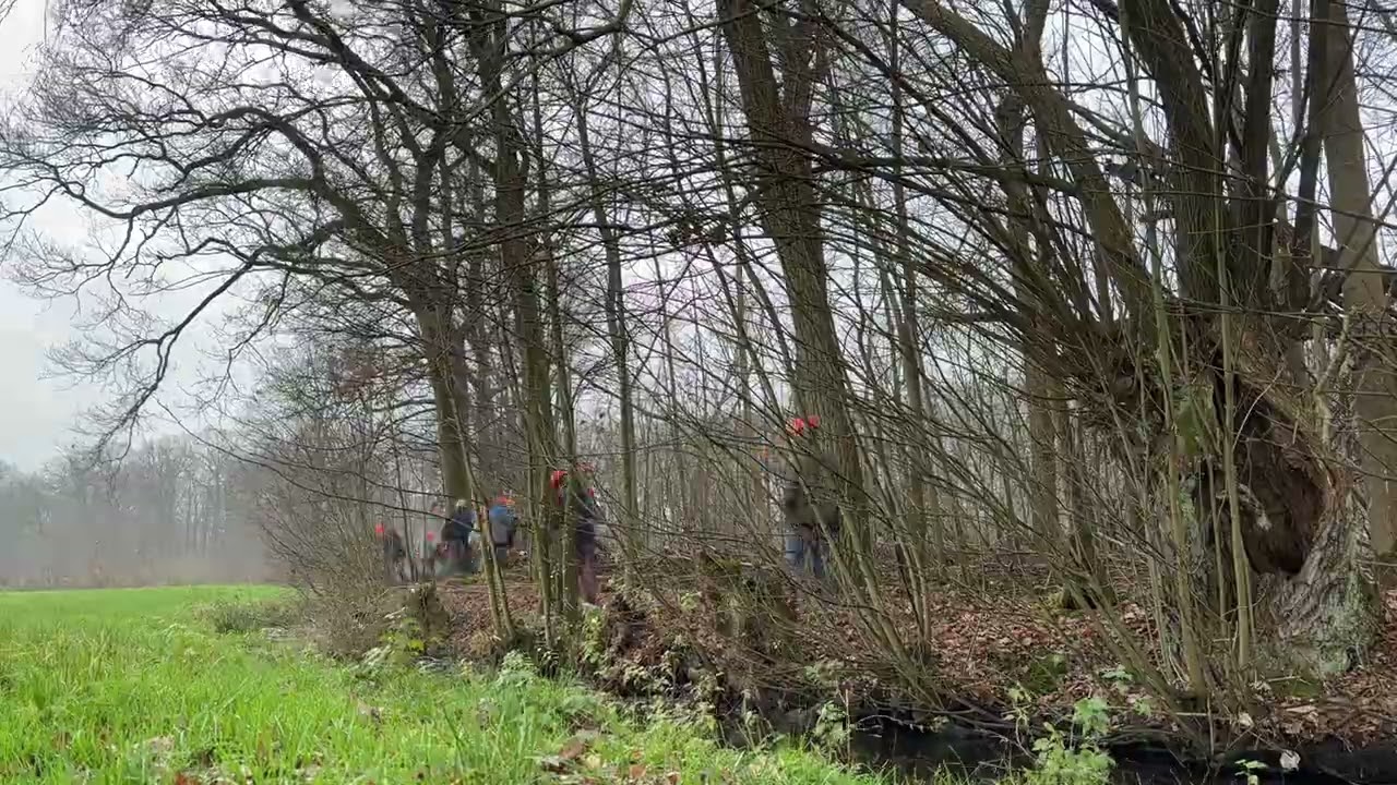 KNNV natuurwerkgroep. 14 december 2024. Linschoten