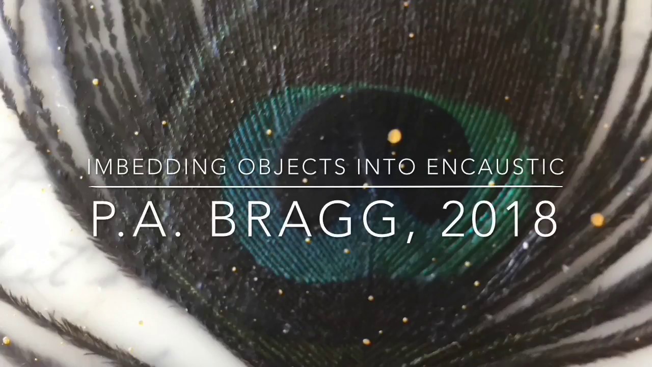 FLY - Imbedding in Encaustic