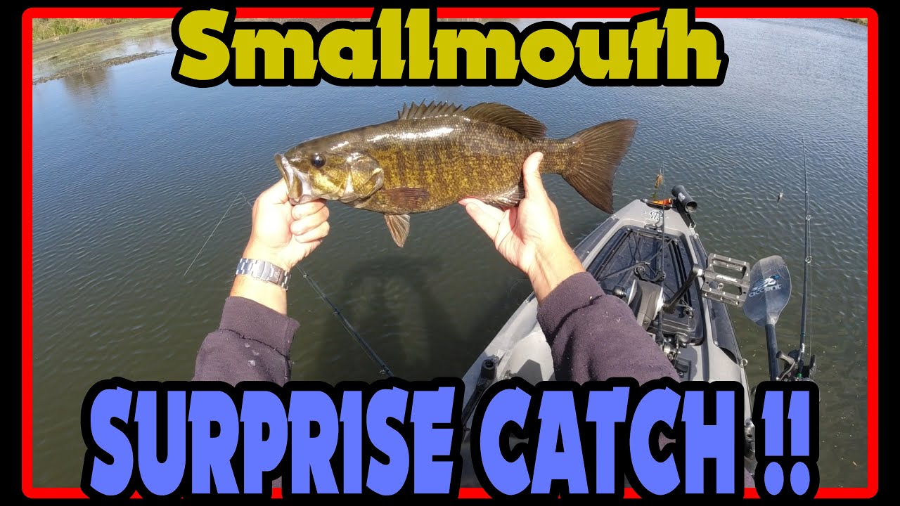 My BEST rare fishing moment!!! [Bass Fishing]