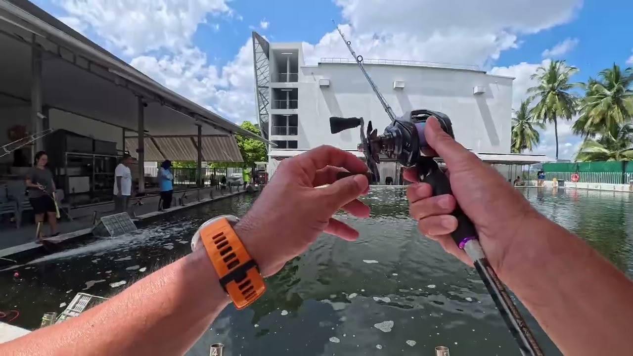 Gills Fishing Pond