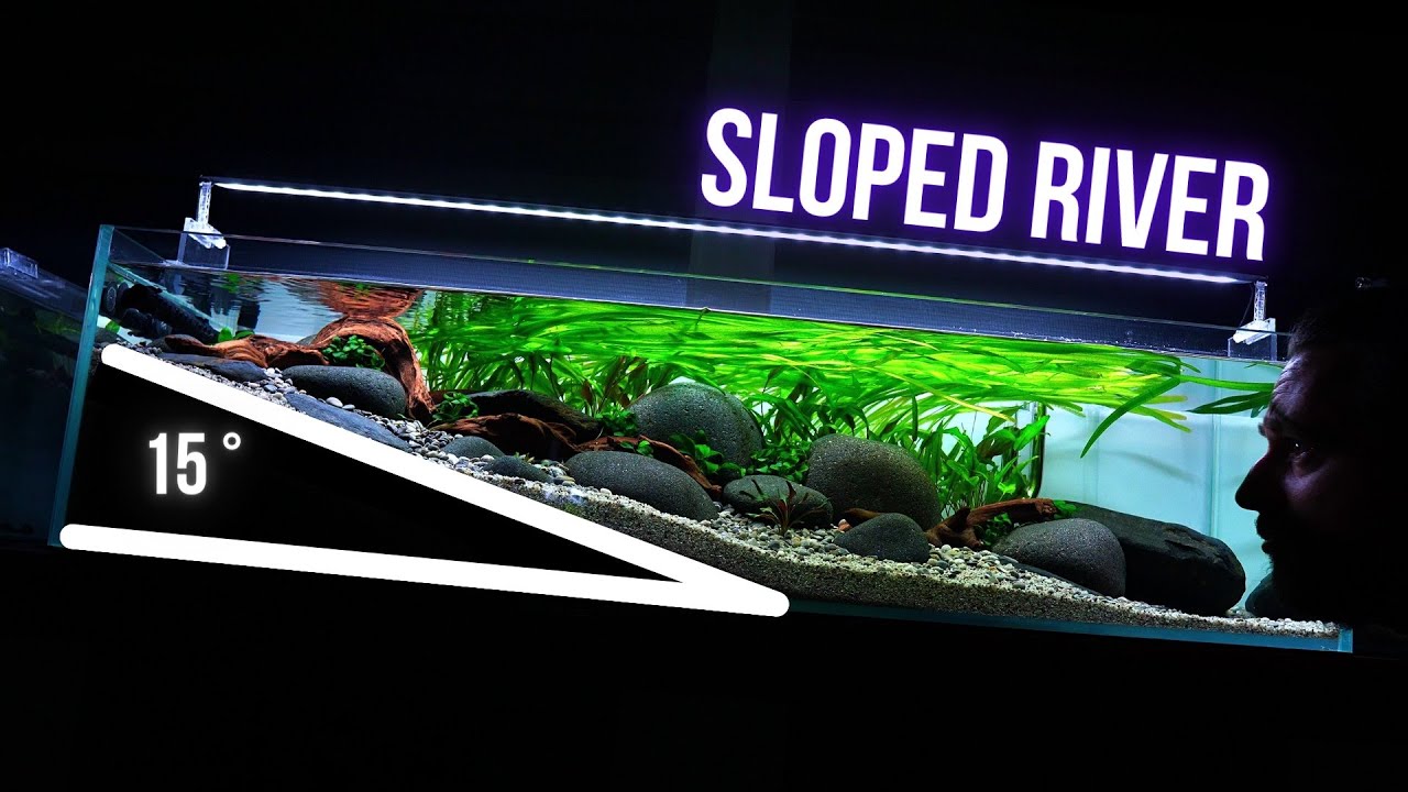 I made INCREDIBLE SLOPED RIVER TANK | HILLSTREAM AQUARIUM Step by step AQUASCAPING TUTORIAL | EP1