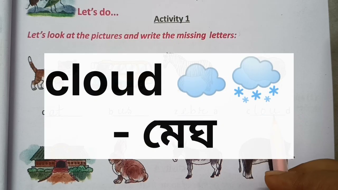 Class 3|English|Butterfly 🦋| Revision Lesson| Activity -1solution |Page -1