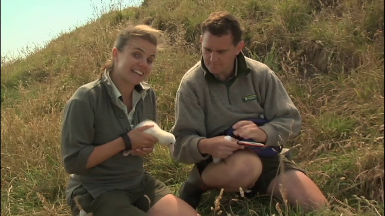 Meet the Locals: Toroa