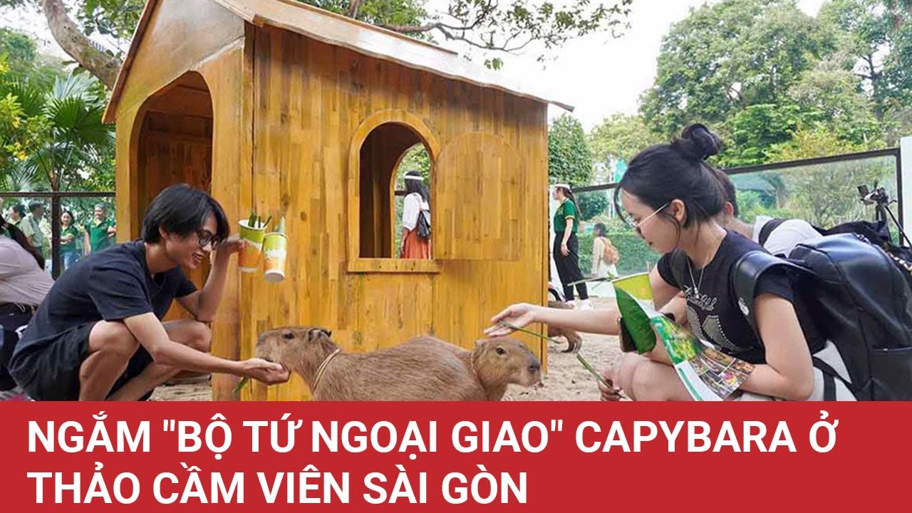 Ngắm 