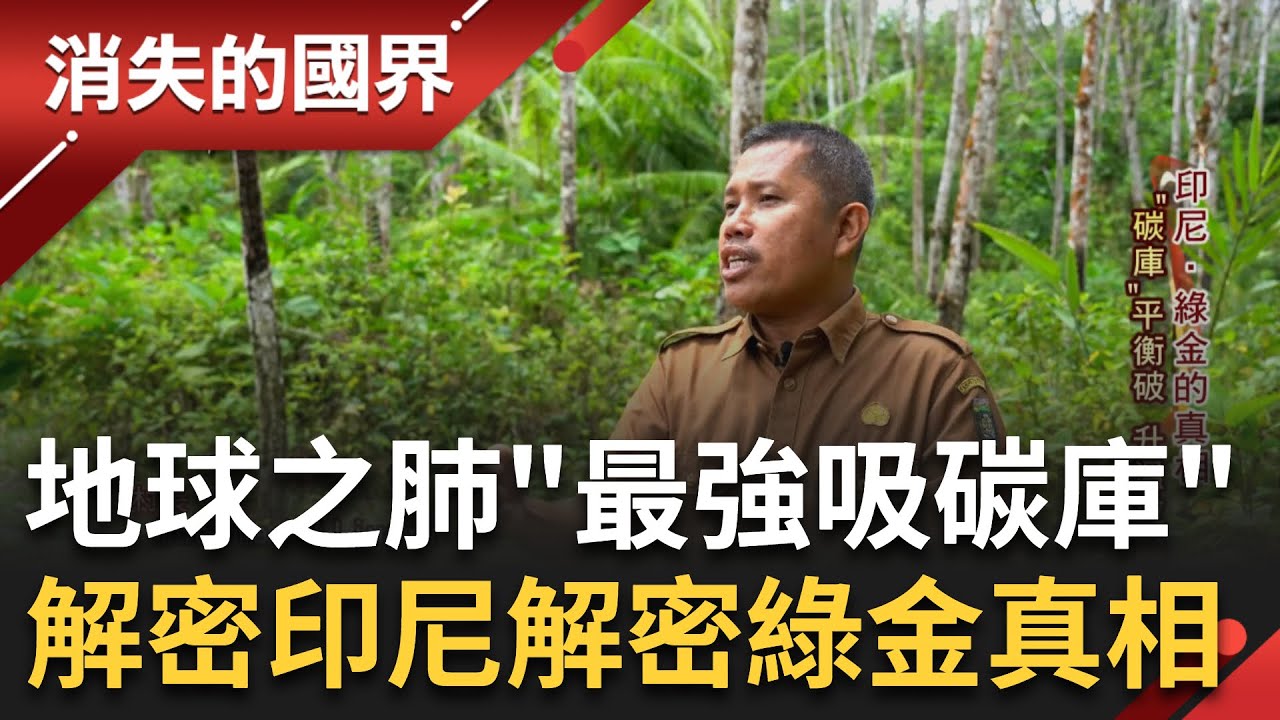 靠種樹就能賺錢? 