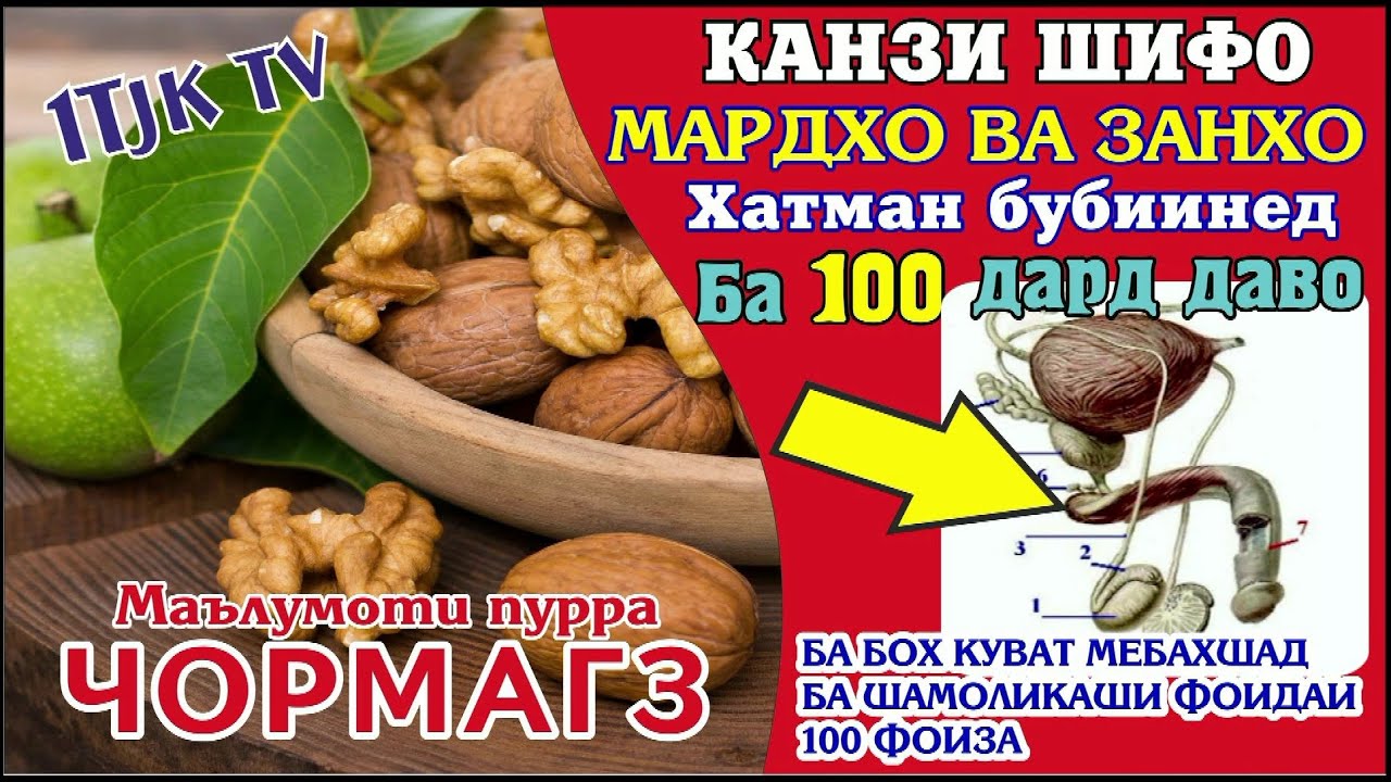 Чормагз ба саломати чи фоида дорад Канзи Шифо