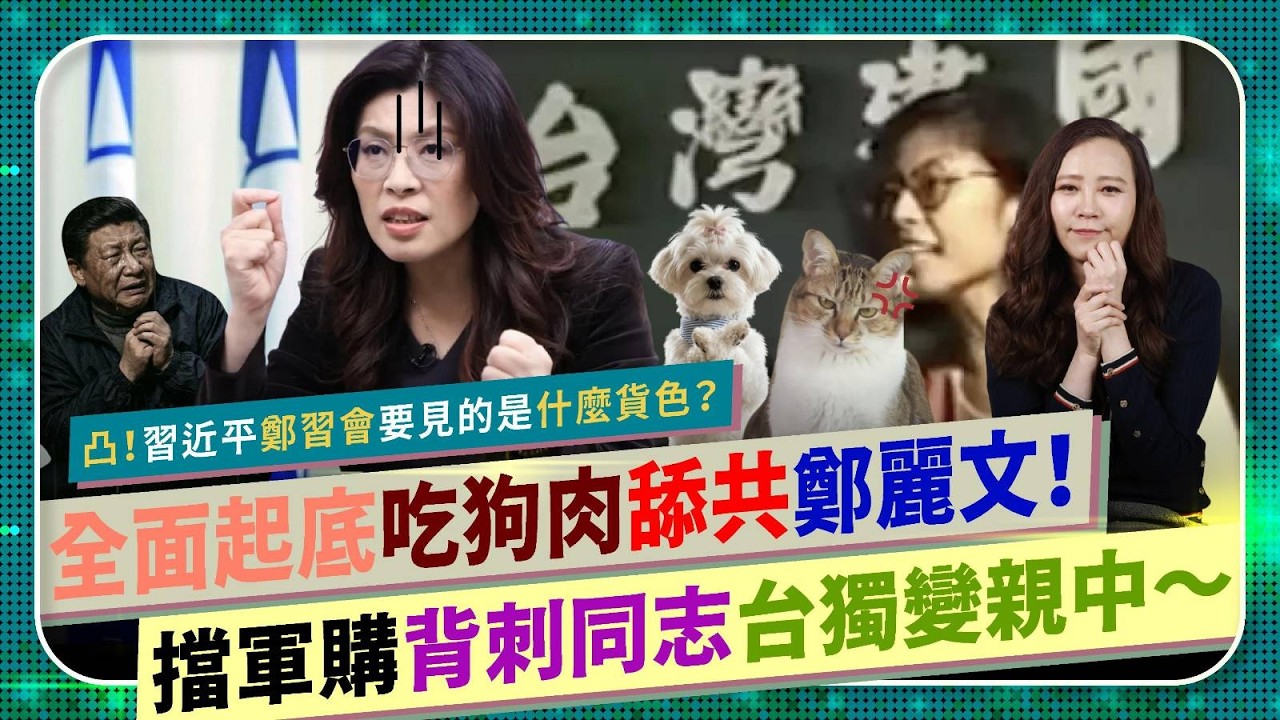 凸！😡 起底舔共吃狗肉的鄭麗文！【習近平鄭習會的是什麼貨色？】擋台灣軍購、背骨民進黨、帶賽國民黨、罵民眾黨柯文哲垃圾！台獨變親中，反美背刺同志！藍綠白賴清德黃國昌盧秀燕蔣萬安都應該看的國際政經288
