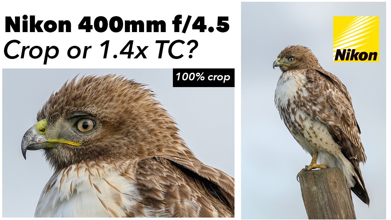 Nikon Z 400mm f/4.5 — кадрировать или использовать 1,4-кратный телеконвертер?