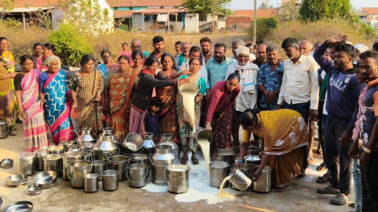 ಡೇರಿ ಕಾರ್ಯದರ್ಶಿ ವರ್ತನೆ ಖಂಡಿಸಿ ಹಾಲು ಸುರಿದು ಮಾಡರಹಳ್ಳಿಯಲ್ಲಿ  ರೈತರ ಪ್ರತಿಭಟನೆ....
