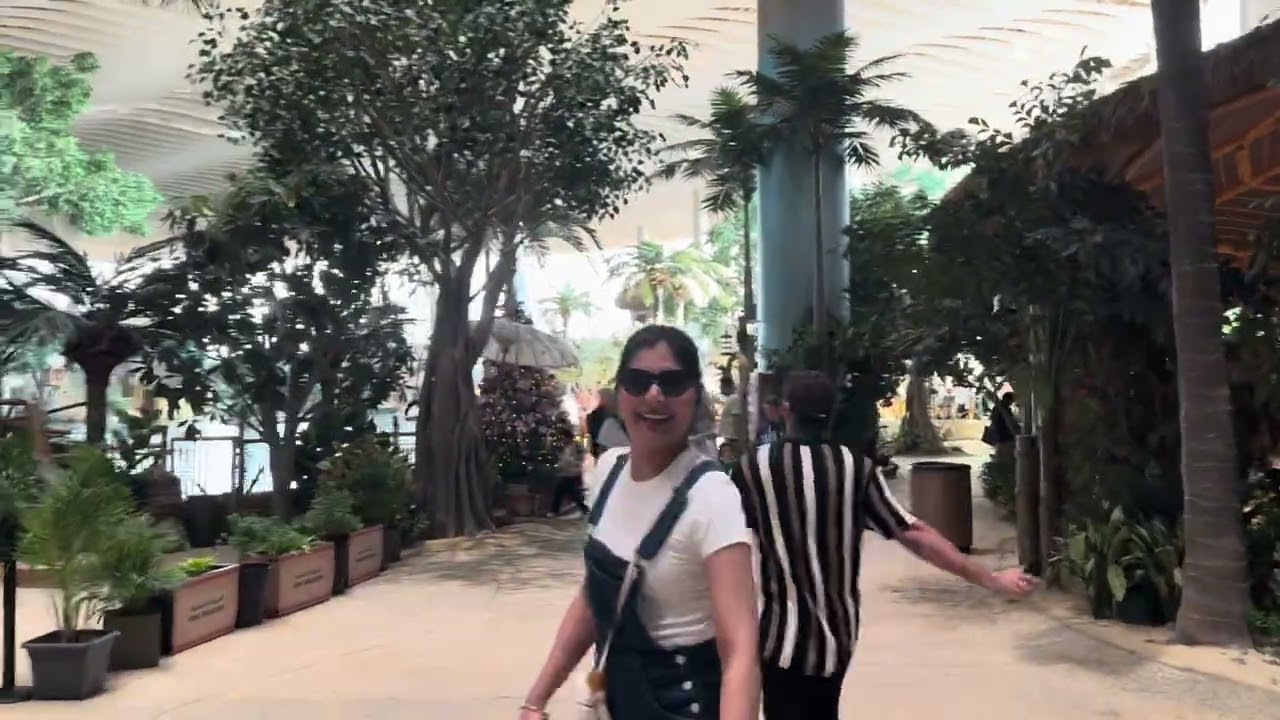 SeaWorld #yasisland #abudhabi : Dolphins aur Flamingos ne dil jeet liya 🐬🦩#hindi #vlog #travel #2026