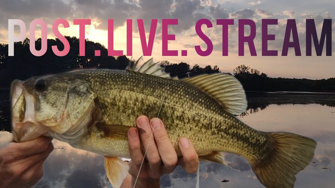 Fishing with Ray and Boca is live!