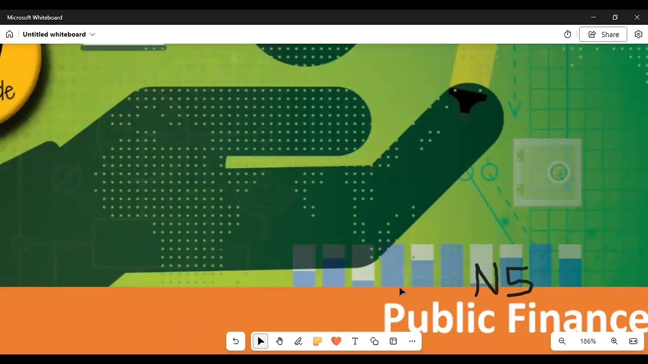 Public Finance N5 module 3 Role of the central government in financing public institutions