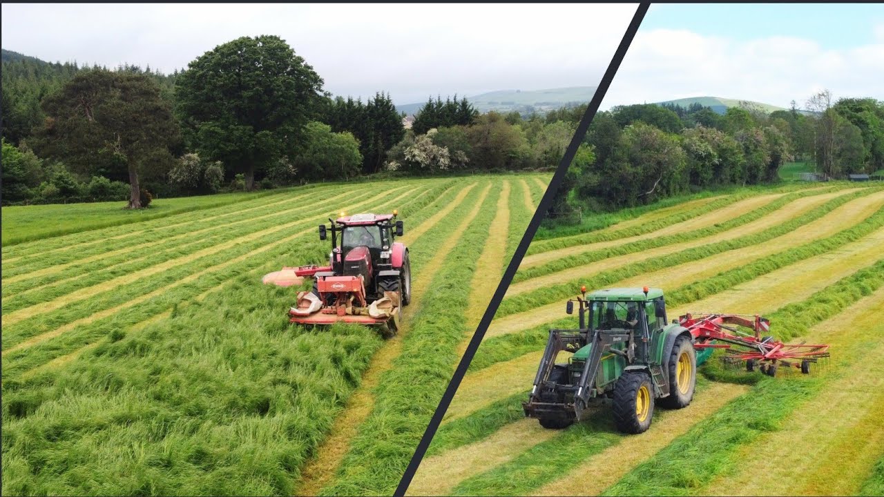 Mowing And Rowing First Cut Silage 2021 Is A Go!! - (Ireland)