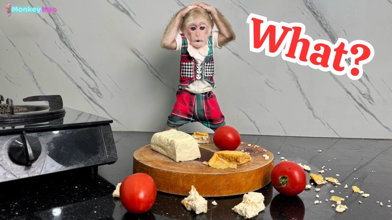 Monkey Kyo Helps Daddy Cook: A Super Fun and Funny Adventure!