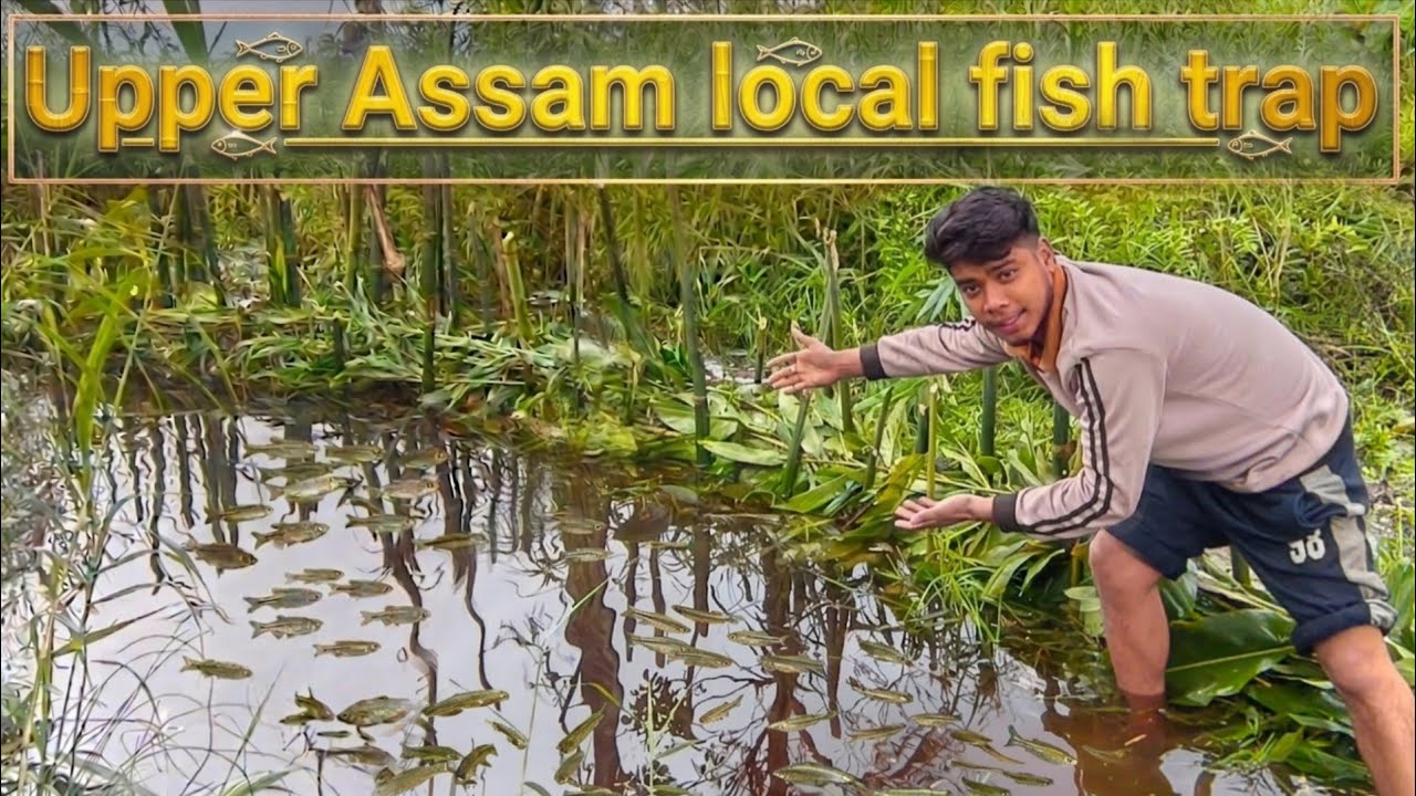 Desi Jugaad Fish Trap 😱 | Upper Assam Village Fishing Technique
