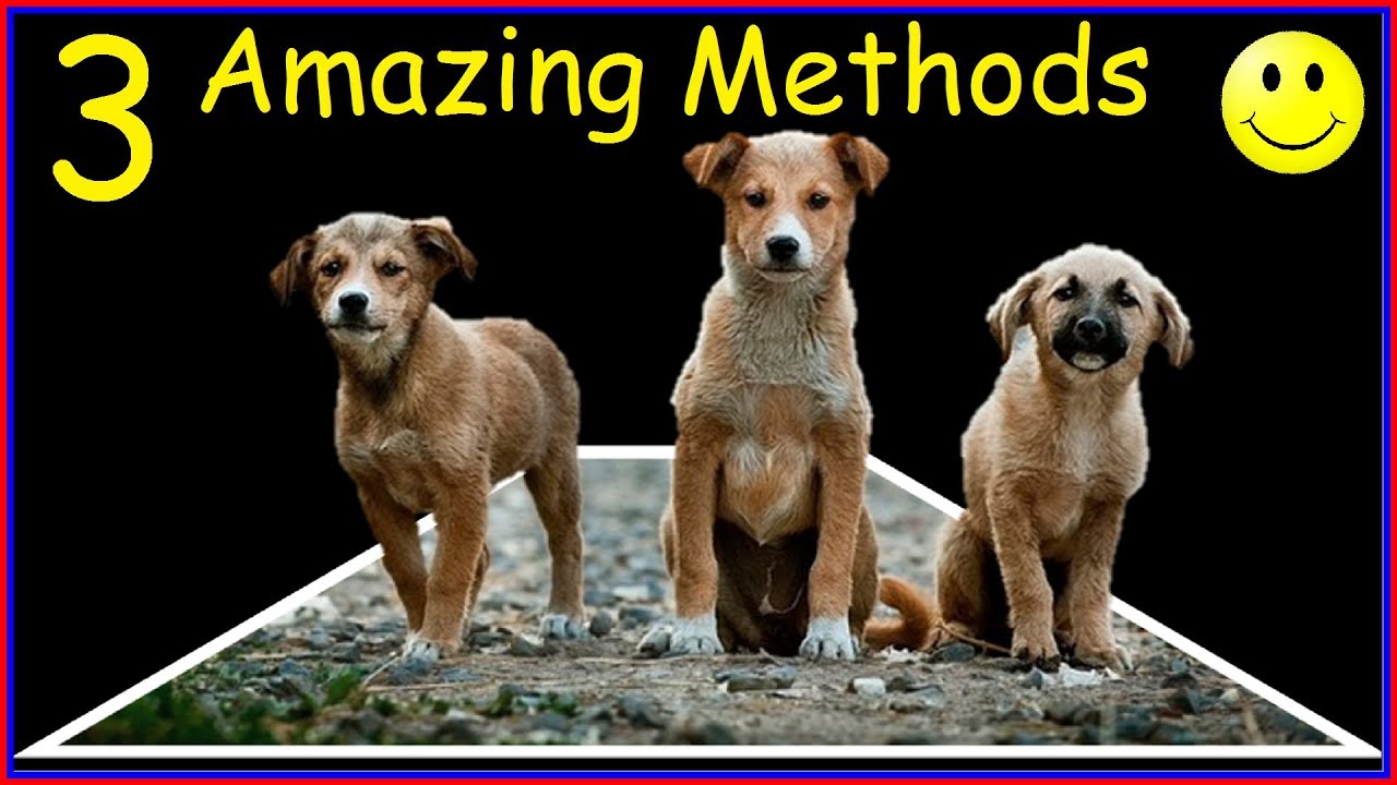 How to Make 3D Pop-out Photos in PowerPoint Presentations? ( 3 Cool Tutorials & Tricks )