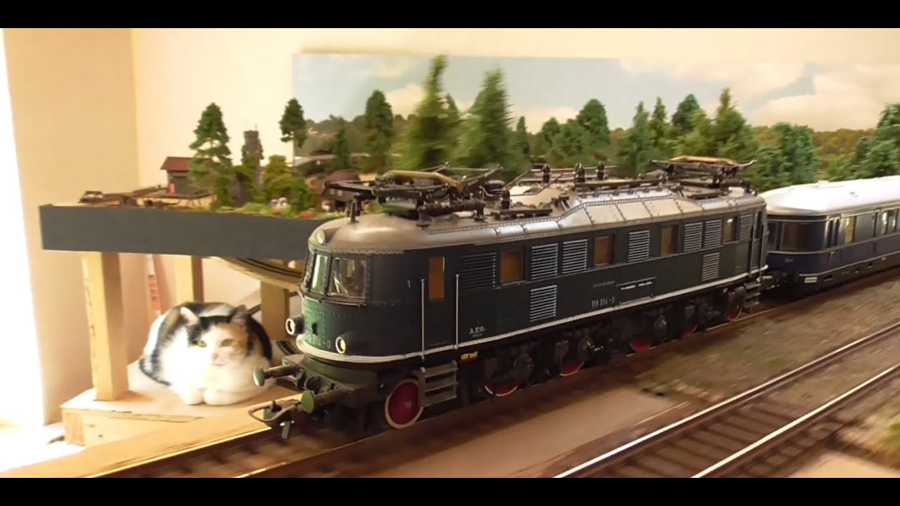 Rundfahrten mit der Roco E18, BR118, BR218 ......