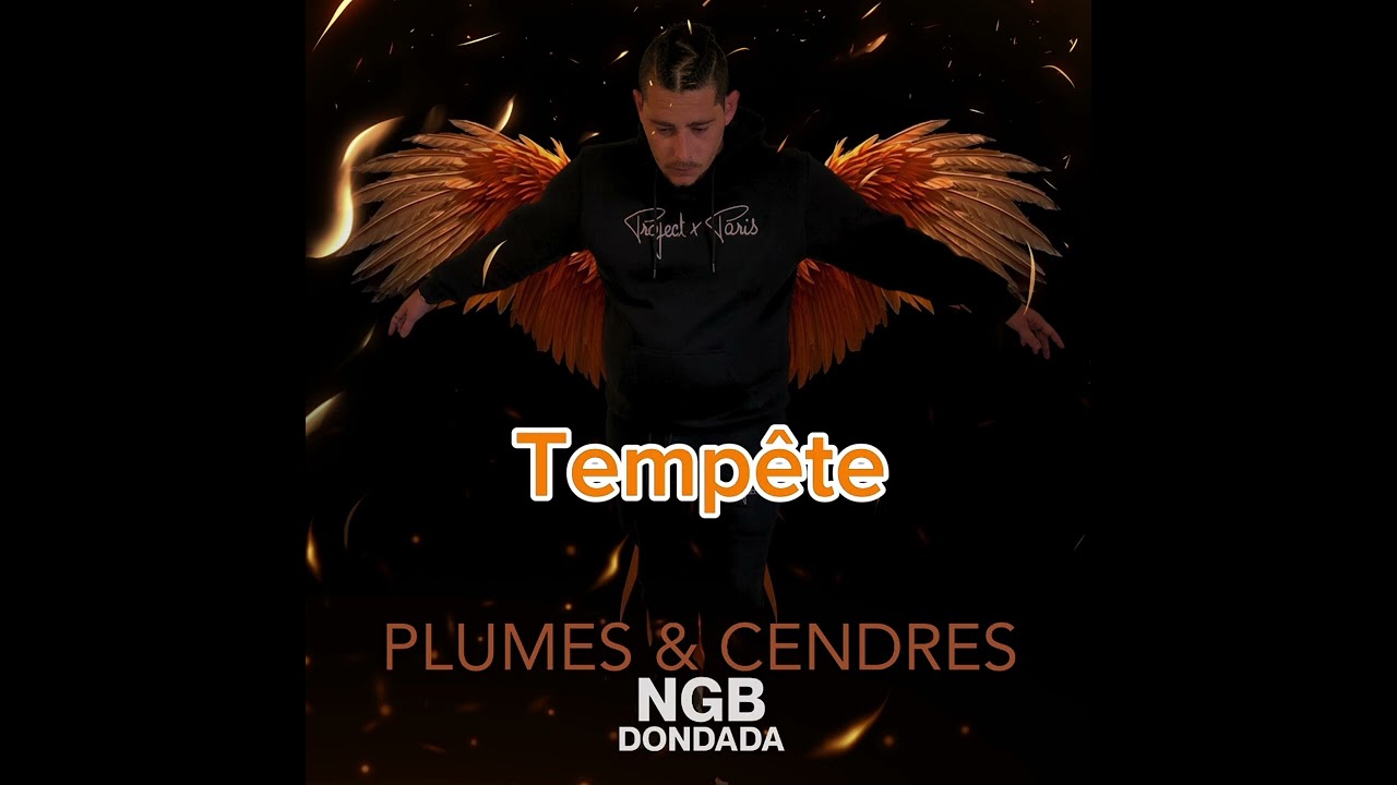 Dondada NGB Tempête Album Plumes et Cendres