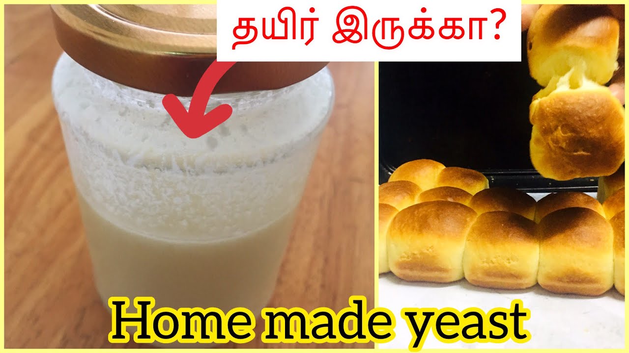 Easy home made YEAST // தயிர் போதும் ஈஸ்ட் செய்ய👌🏻