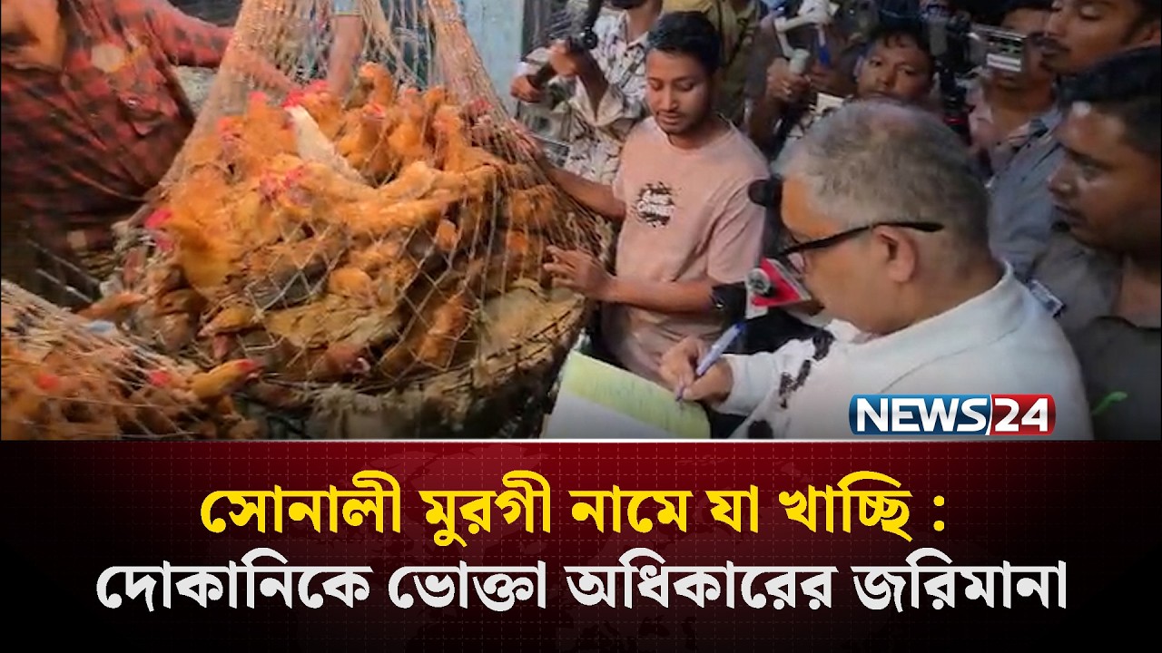 সোনালী মুরগী নামে যা খাচ্ছি : দোকানিকে ভোক্তা অধিকারের জরিমানা | NEWS24