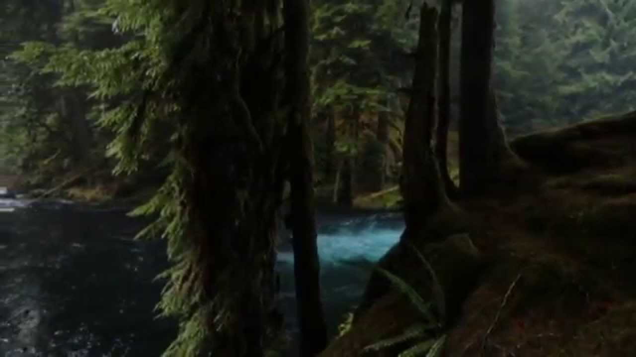 Clackamas Complete A Return of Bull Trout