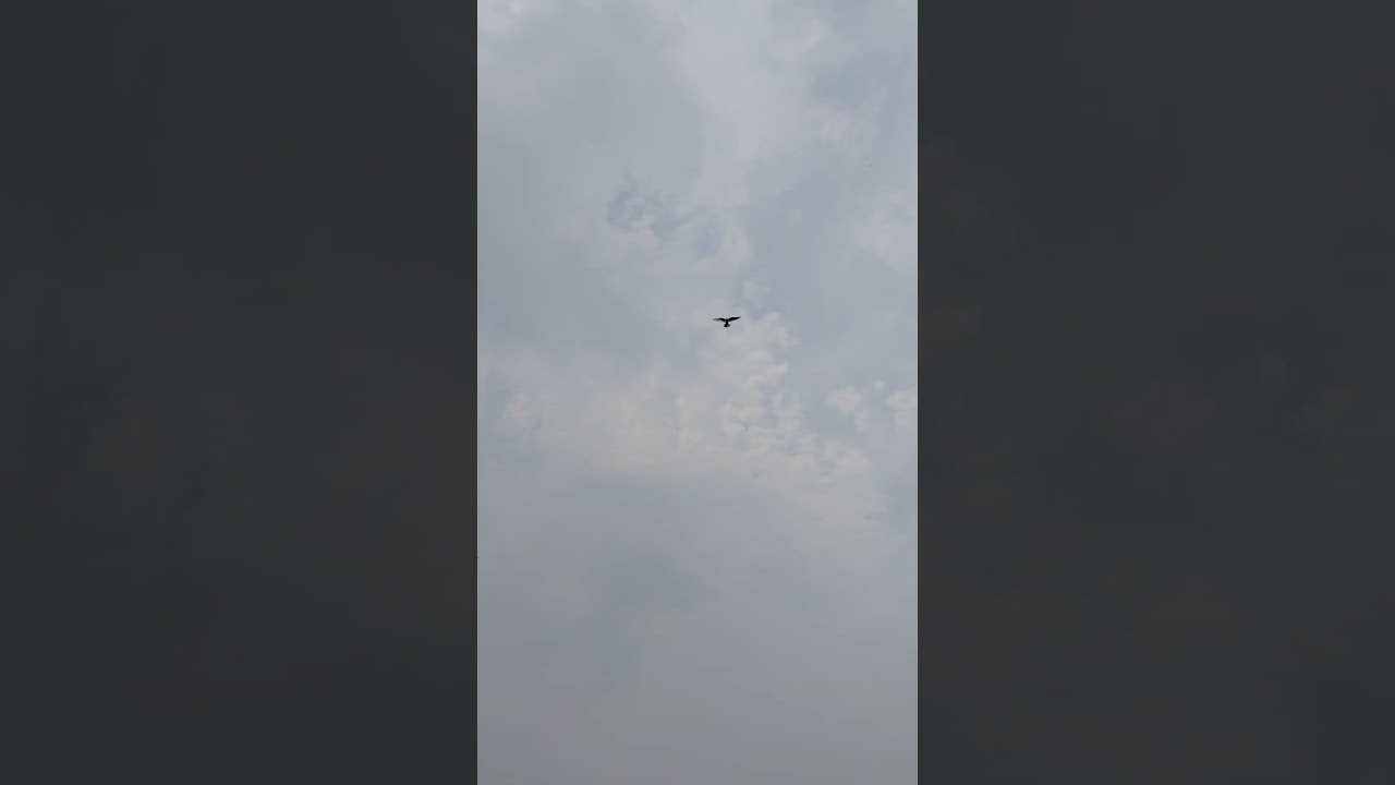 1:27 pm . landing. 44 degree temprature 