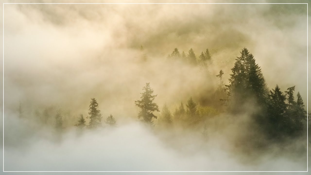 One Note Ambient Backing Tracks (Full Album) - Volume 5