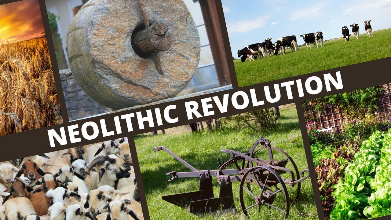 The Neolithic Revolution Explained in Under 5 Minutes