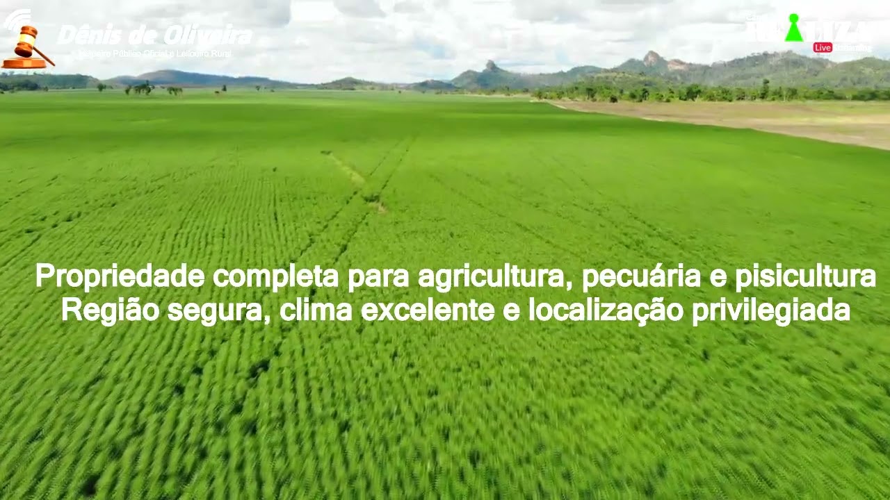 VT a venda  melhor FAZENDA de Minas Gerais 4.660 hectares BARRA MANSA mp4