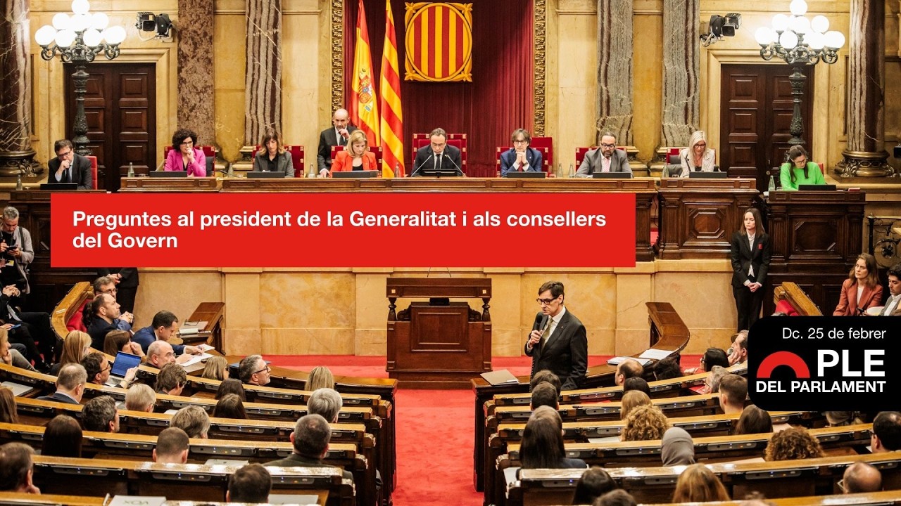 Resum de la sessió de control - 25/2/2026