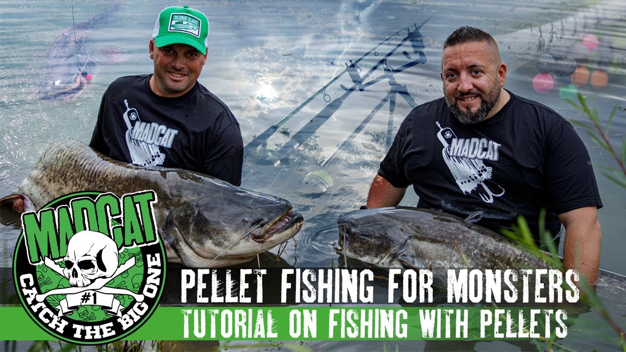 Pellet fishing for monsters - Tutorial on fishing with pellets