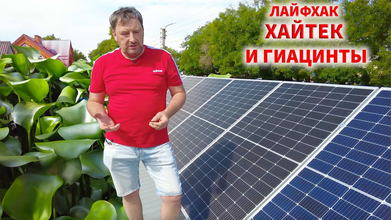 Лайфхак, хайтек и невероятные гиацинты. Андрей г.Армавир