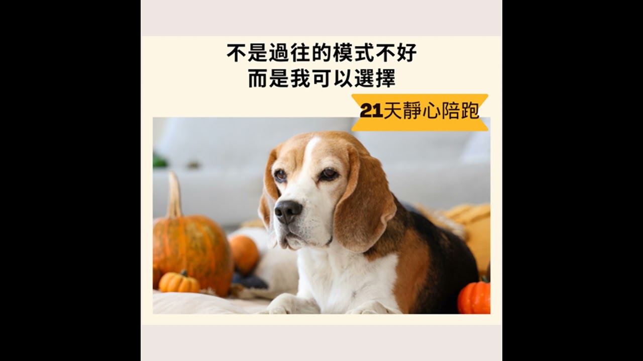 面對害怕｜21 天靜心陪跑 Day 7