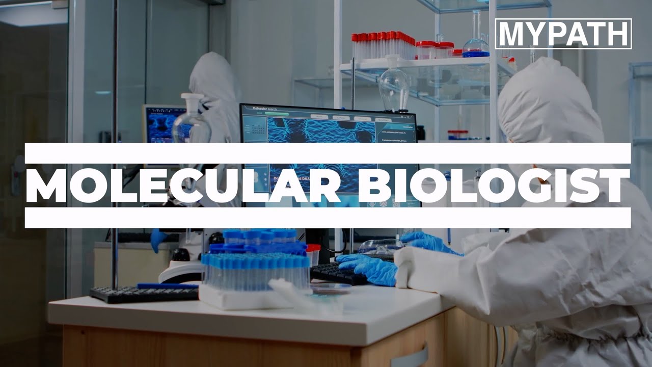 JOB OF THE WEEK - EPISODE #201 - MOLECULAR BIOLOGIST