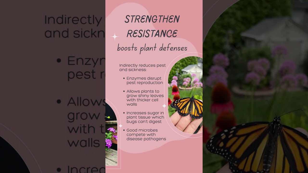 I tried this Concentrate Plant Booster - Growth Accelerator called Vitality