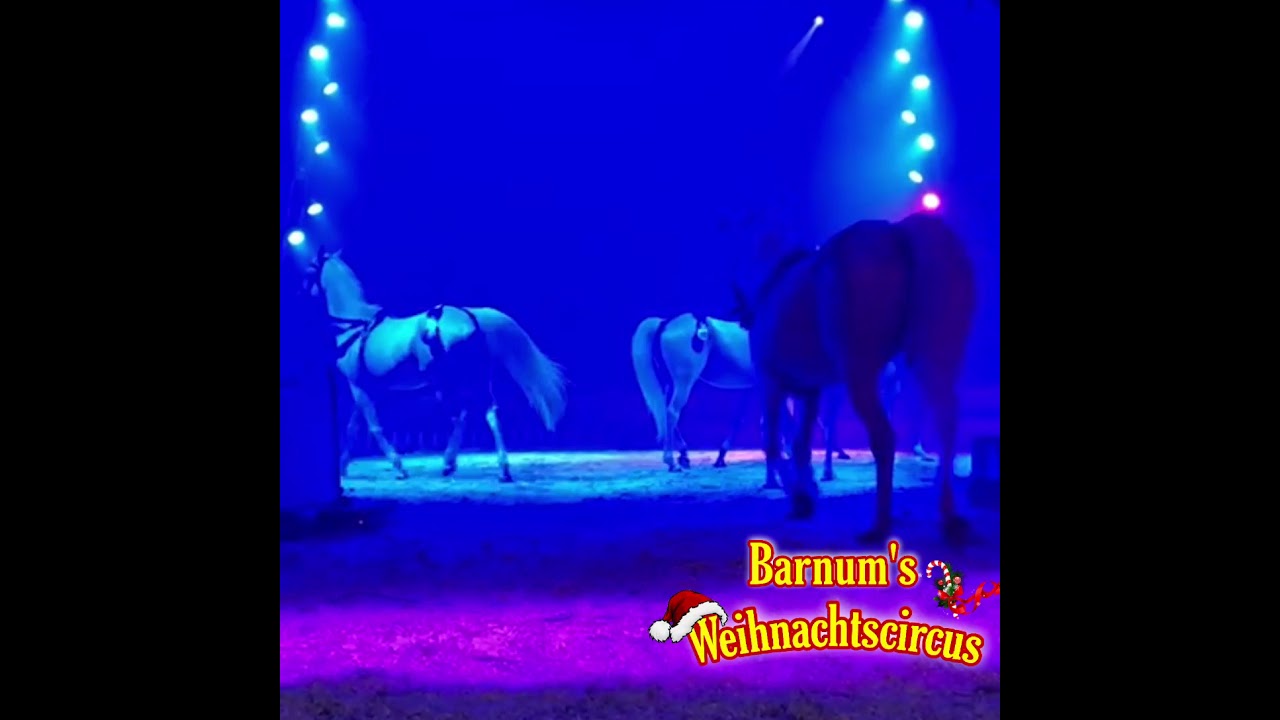 Barnums Weihnachtscircus Programm Vorschau 2021/2022