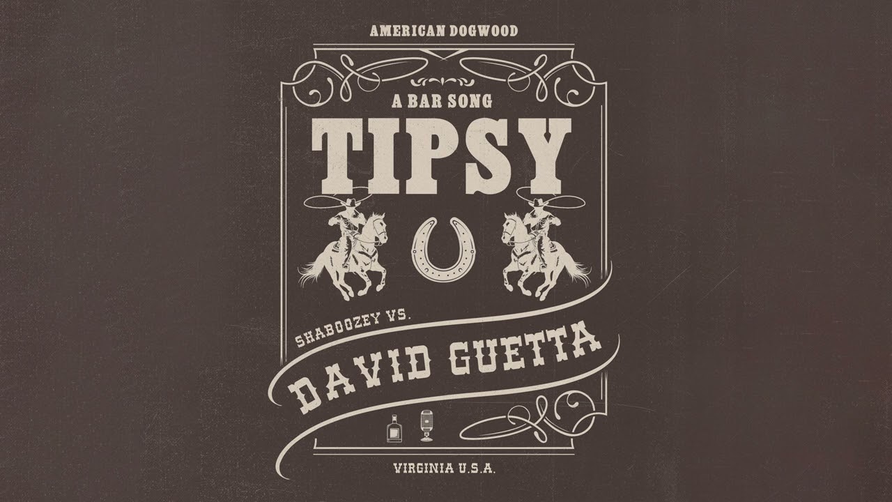 Shaboozey vs. David Guetta - A Bar Song (Tipsy) [Remix] (Official Visualizer)