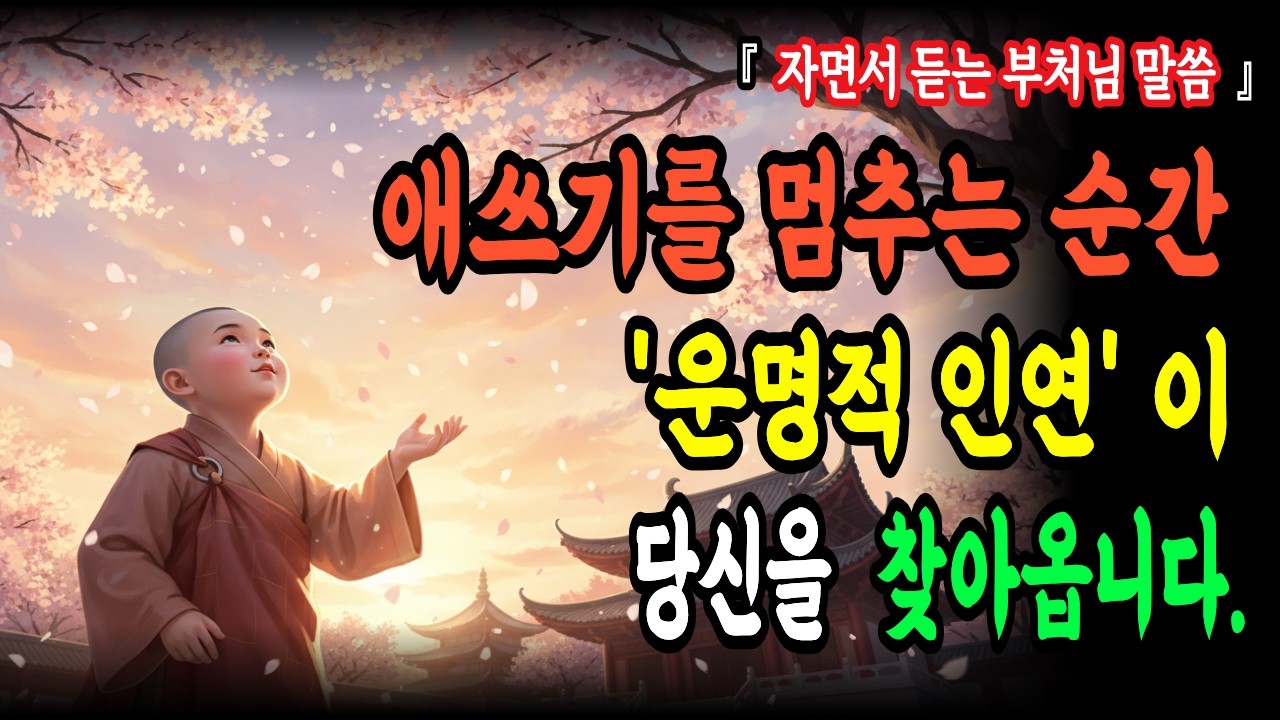자면서 듣는 부처님말씀 I 애쓰기를 멈추는 순간 '운명적 인연'이 당신을 찾아옵니다 - 부처님의 약속 I 석가모니 가르침 I 불교철학
