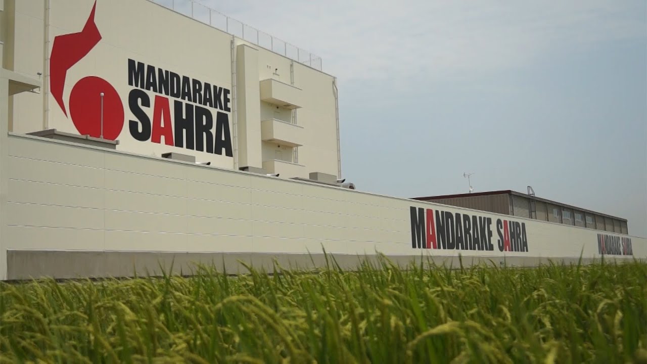まんだらけSAHRA始動！〜Mandarake SAHRA in Operation〜