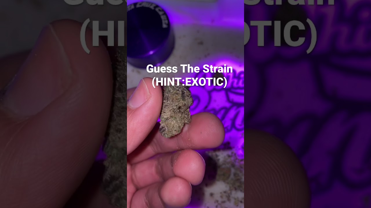 Guess The Strain